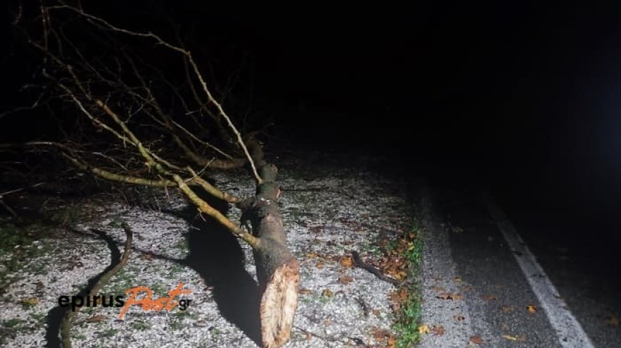 Κακοκαιρία: Έκλεισαν δρόμοι από πτώσεις δέντρων στα Ιωάννινα - Δείτε φωτογραφίες