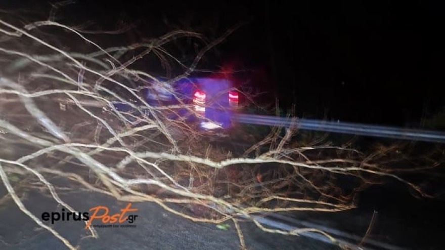 Κακοκαιρία: Έκλεισαν δρόμοι από πτώσεις δέντρων στα Ιωάννινα - Δείτε φωτογραφίες
