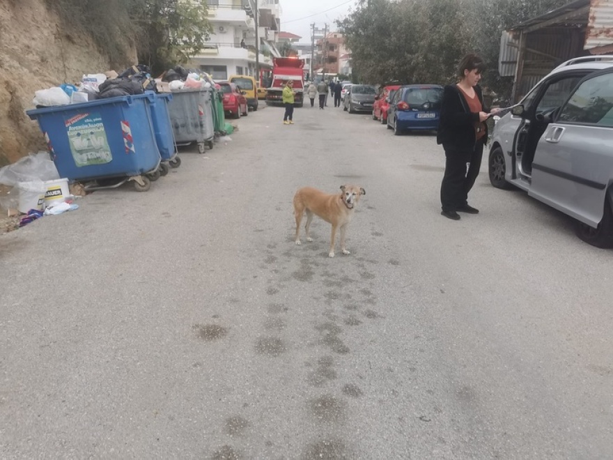 Ρόδος: Μπαράζ δολιοφθορών με 60 σκασμένα λάστιχα
