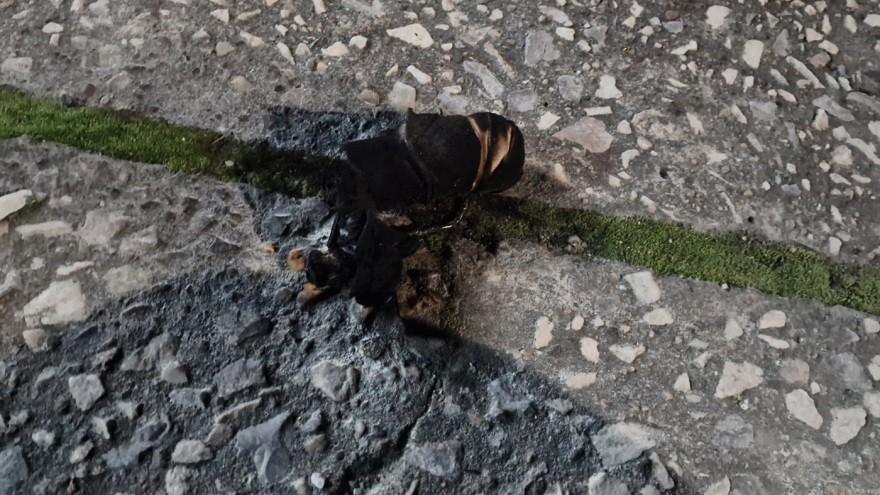 Επεισόδια με Ρομά σε Ασπρόπυργο, Ρόδο, Πάτρα και Χαλκίδα