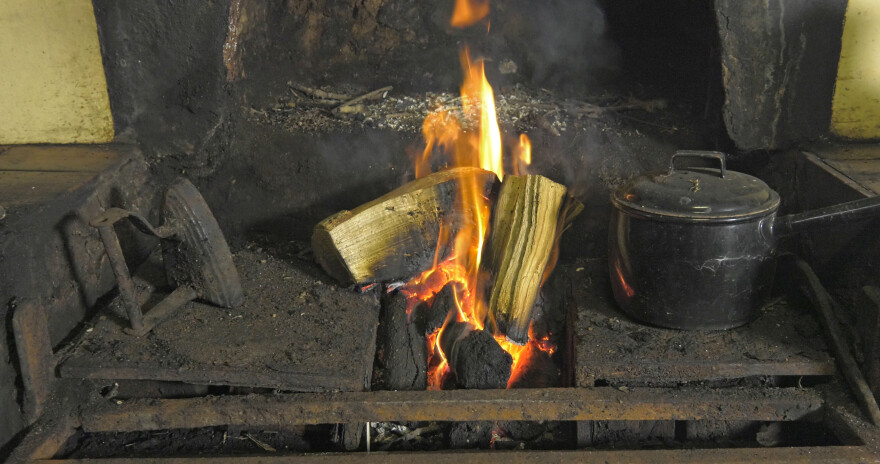 Ενεργειακή κρίση: Αποψιλώνουν δάση και λιβάδια για να ζεσταθούν στη Δυτική Ευρώπη