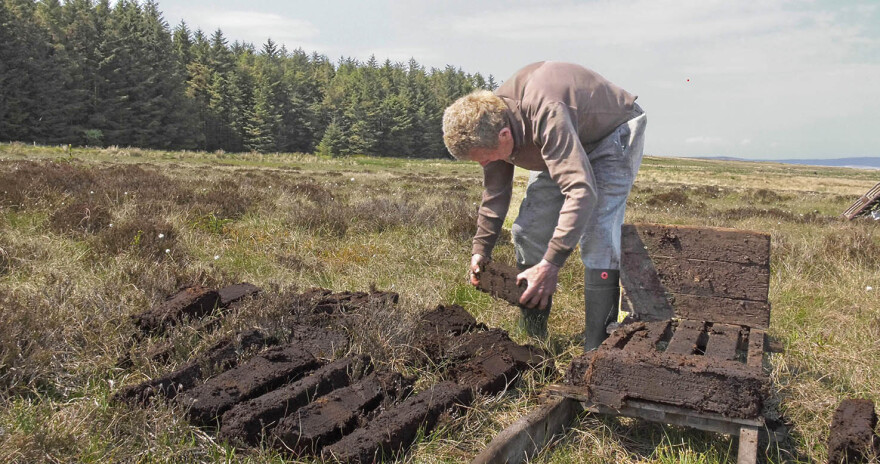 Ενεργειακή κρίση: Αποψιλώνουν δάση και λιβάδια για να ζεσταθούν στη Δυτική Ευρώπη