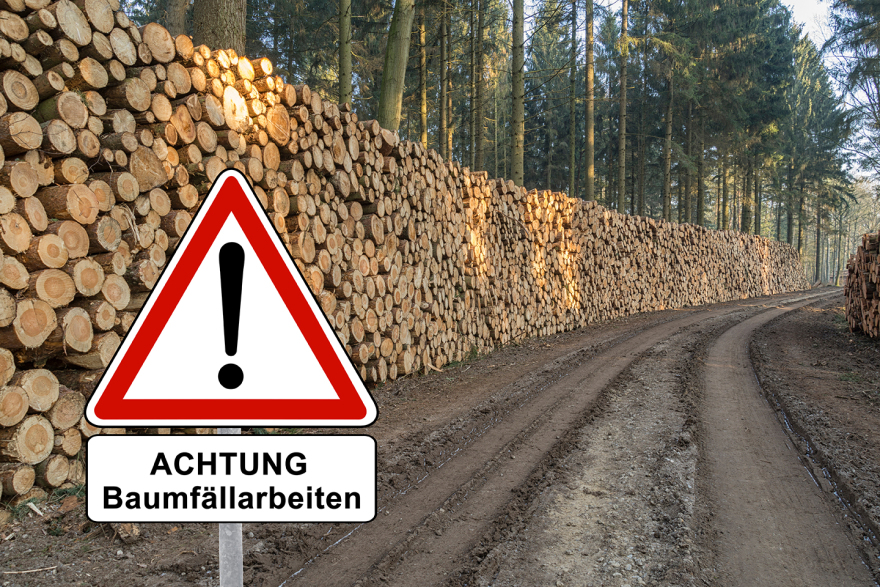 Ενεργειακή κρίση: Αποψιλώνουν δάση και λιβάδια για να ζεσταθούν στη Δυτική Ευρώπη