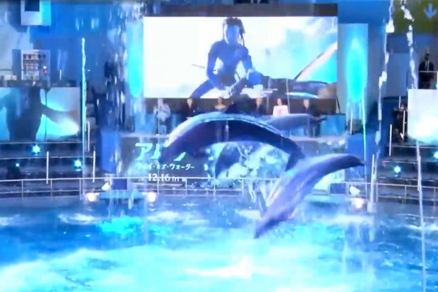 Ακτιβιστές κατηγορούν τον Τζέιμς Κάμερον για τα ακροβατικά με τα δελφίνια στην πρεμιέρα του Avatar 2