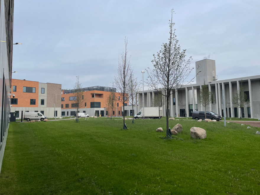 Qatar Gate - Εύα Καϊλή: Είδε για πρώτη φορά την κόρη της στις φυλακές Χάρεν