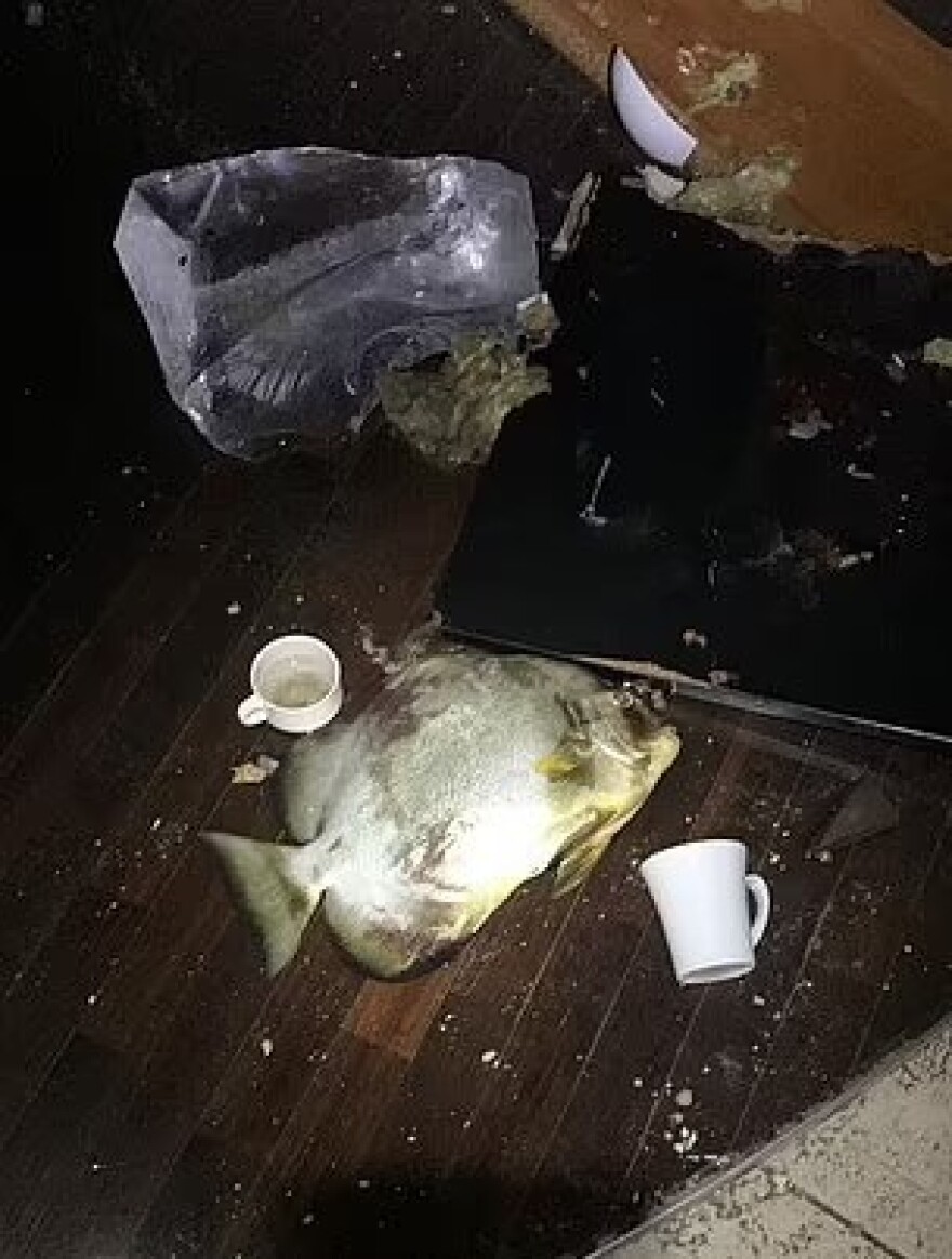 Βερολίνο: Σαν... βόμβα έσκασε το ενυδρείο-κόσμημα του ξενοδοχείου «Radisson Blu»