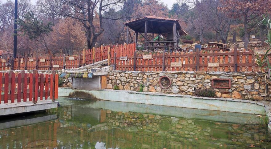 Κοζάνη: Χριστουγεννιάτικη βόλτα με ταράνδους στο Πάρκο Ελαφιών - Δείτε βίντεο και φωτογραφίες