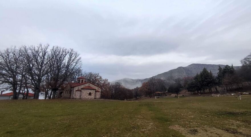 Κοζάνη: Χριστουγεννιάτικη βόλτα με ταράνδους στο Πάρκο Ελαφιών - Δείτε βίντεο και φωτογραφίες