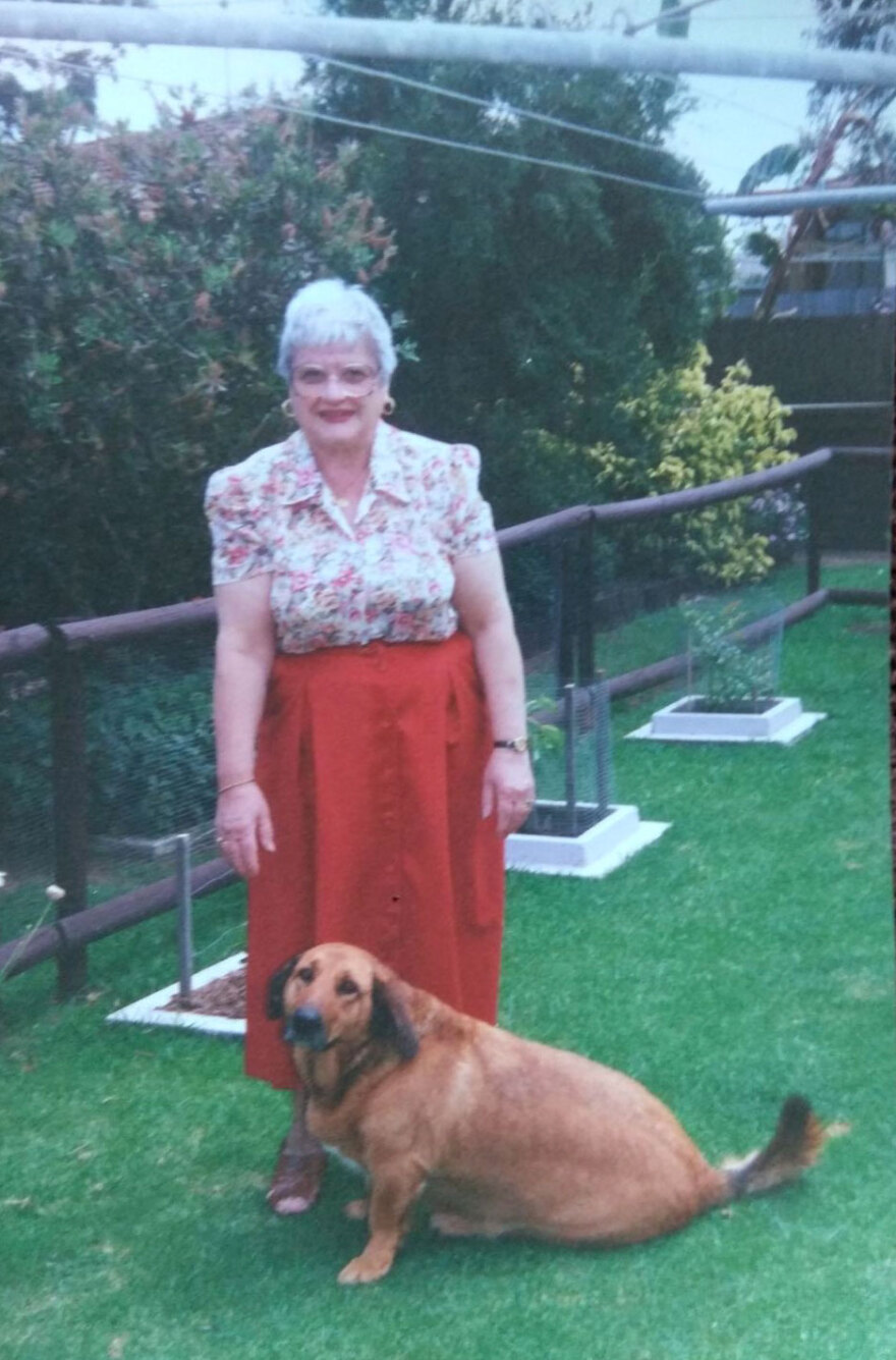 Κιβωτός του Κόσμου: Η θεία από την Αυστραλία με το μισό εκατ. ευρώ που πήγε στη δομή