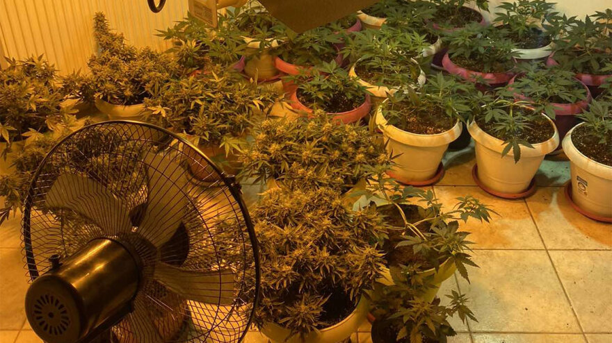 Θεσσαλονίκη: 33χρονος είχε στήσει εργαστήριο καλλιέργειας κάνναβης στο σπίτι του