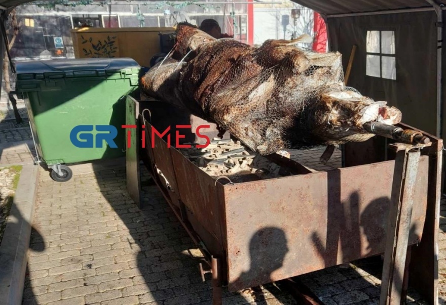 Έβρος: Έχει ανάψει η μεγαλύτερη σούβλα της χρονιάς με μοσχάρι 360 κιλών