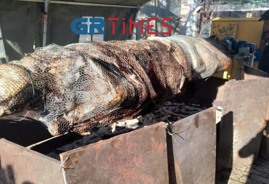 Έβρος: Έχει ανάψει η μεγαλύτερη σούβλα της χρονιάς με μοσχάρι 360 κιλών