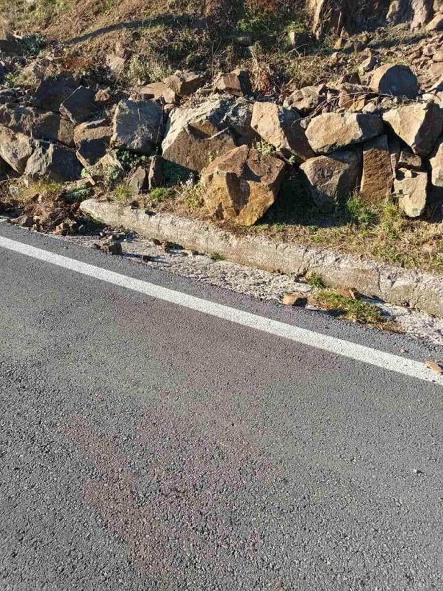 Λέσβος - Λέκκας: «Το ρήγμα της Αγίας Παρασκευής είχε δώσει αρκετά μεγάλο σεισμό το 1867»