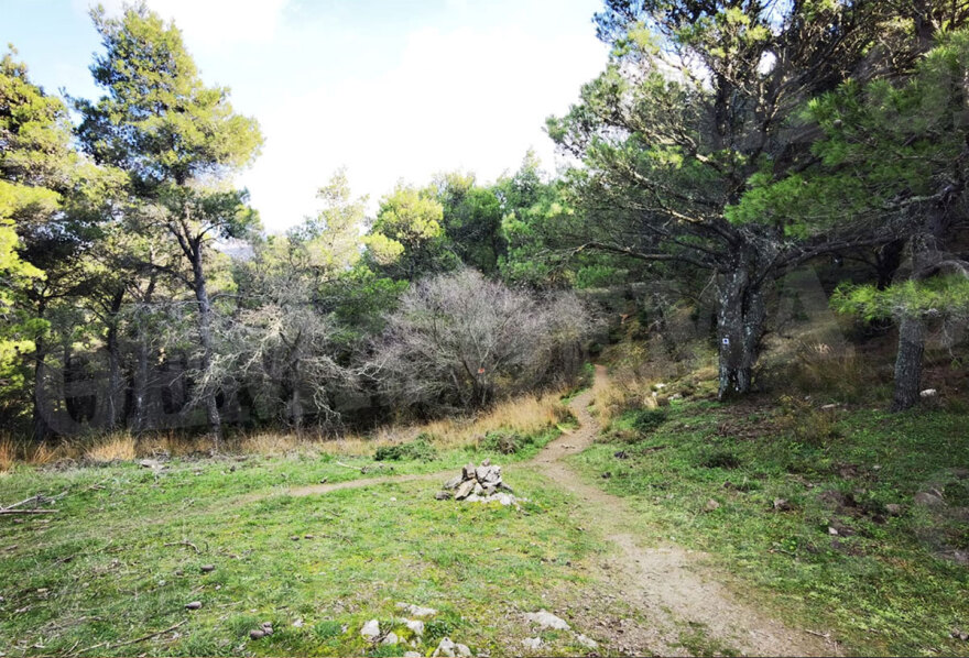 Θρίλερ στη Φυλή: 35χρονος ορειβάτης έπεσε σε χαράδρα - Μεγάλη επιχείρηση της Πυροσβεστικής