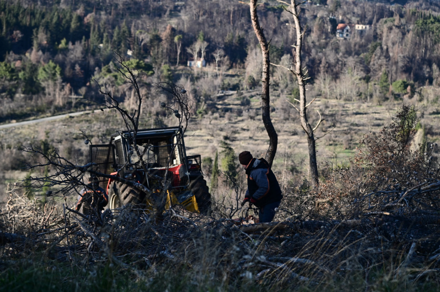 Τέως βασιλιάς Κωνσταντίνος: Στο Τατόι η οικογένειά του για τις ετοιμασίες - Ποιοι θα έρθουν για την κηδεία