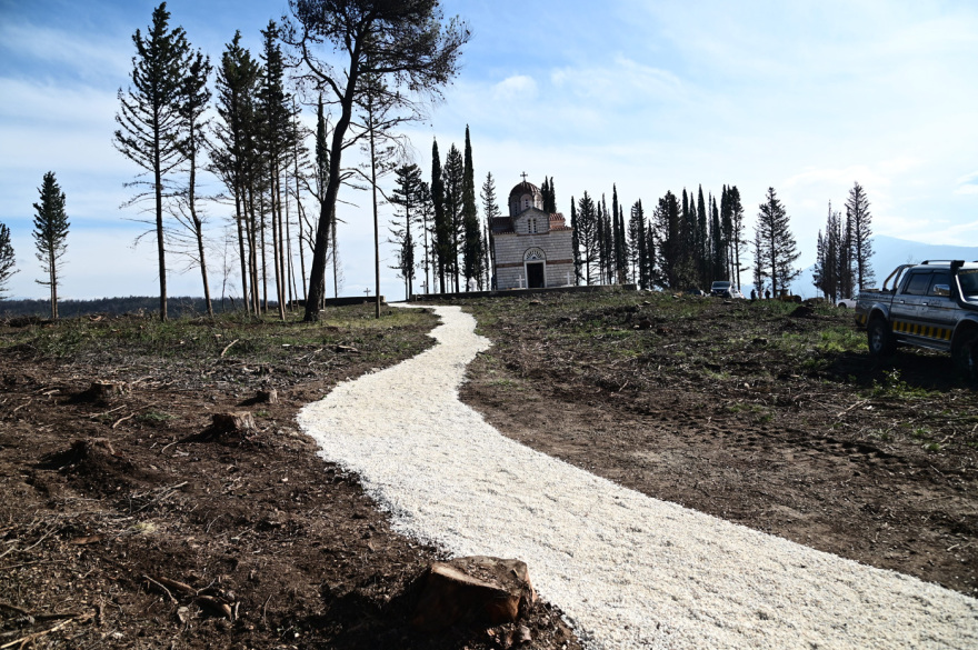 Τέως βασιλιάς Κωνσταντίνος: Πυρετός εργασιών στο Τατόι για την ταφή τη Δευτέρα - Δείτε βίντεο και φωτογραφίες