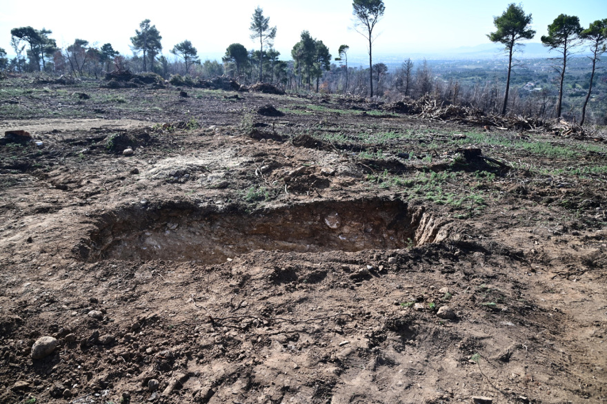 Τέως βασιλιάς Κωνσταντίνος: Πυρετός εργασιών στο Τατόι για την ταφή τη Δευτέρα - Δείτε βίντεο και φωτογραφίες
