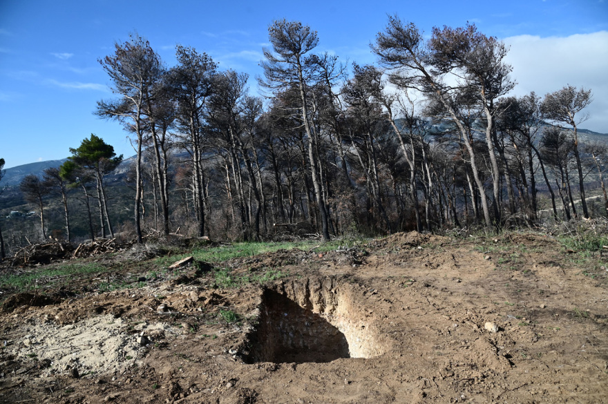 Τέως βασιλιάς Κωνσταντίνος: Πυρετός εργασιών στο Τατόι για την ταφή τη Δευτέρα - Δείτε βίντεο και φωτογραφίες