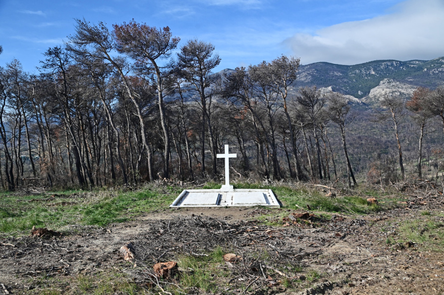 Τέως βασιλιάς Κωνσταντίνος: Πυρετός εργασιών στο Τατόι για την ταφή τη Δευτέρα - Δείτε βίντεο και φωτογραφίες