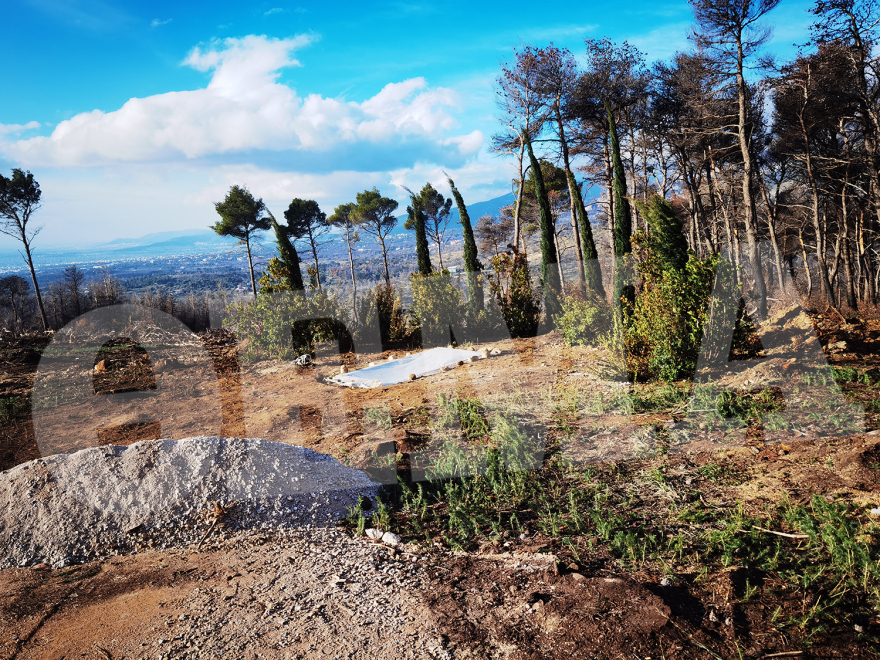 Κηδεία τέως βασιλιά: Η Μενδώνη στις εργασίες στους βασιλικούς τάφους στο Τατόι