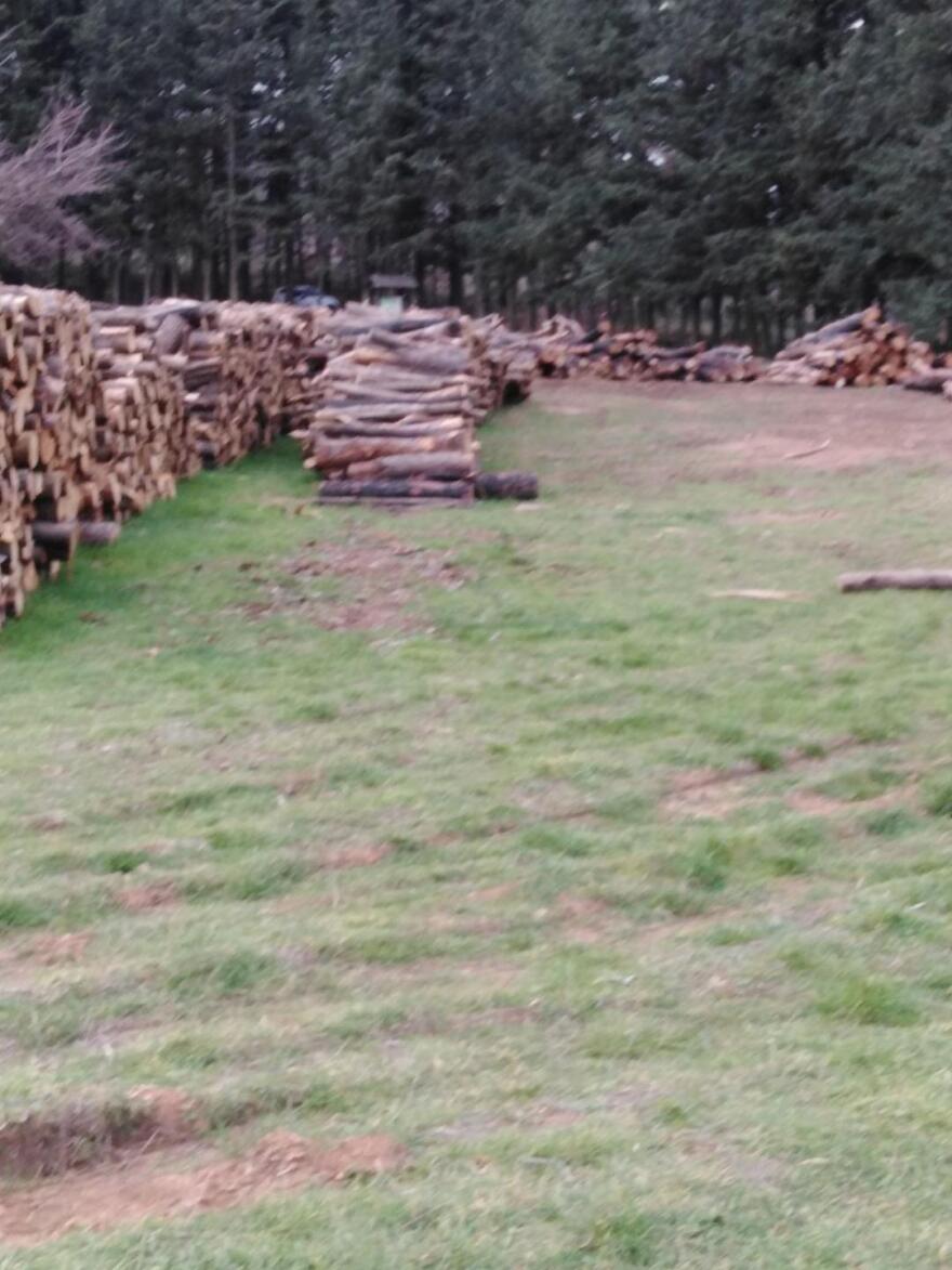 Τέως βασιλιάς Κωνσταντίνος-Τατόι: Εικόνες από τη μεταμόρφωση - εξπρές για την τελετή της ταφής του 