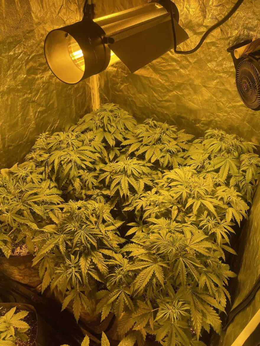 Πάτρα: Η ληστεία, η μάσκα και τα ρούχα που «έκαψαν» τους επτά ληστές