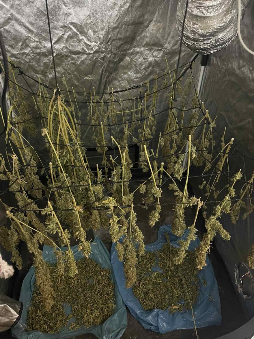 Πάτρα: Μέσα στη γιάφκα των «7» - Πώς έκαναν τις ληστείες 