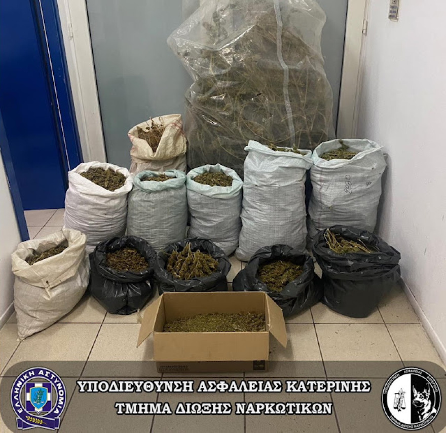 Κατερίνη: Τυχαία σύλληψη έφερε στο φως 48 κιλά κάνναβης στην Πιερία