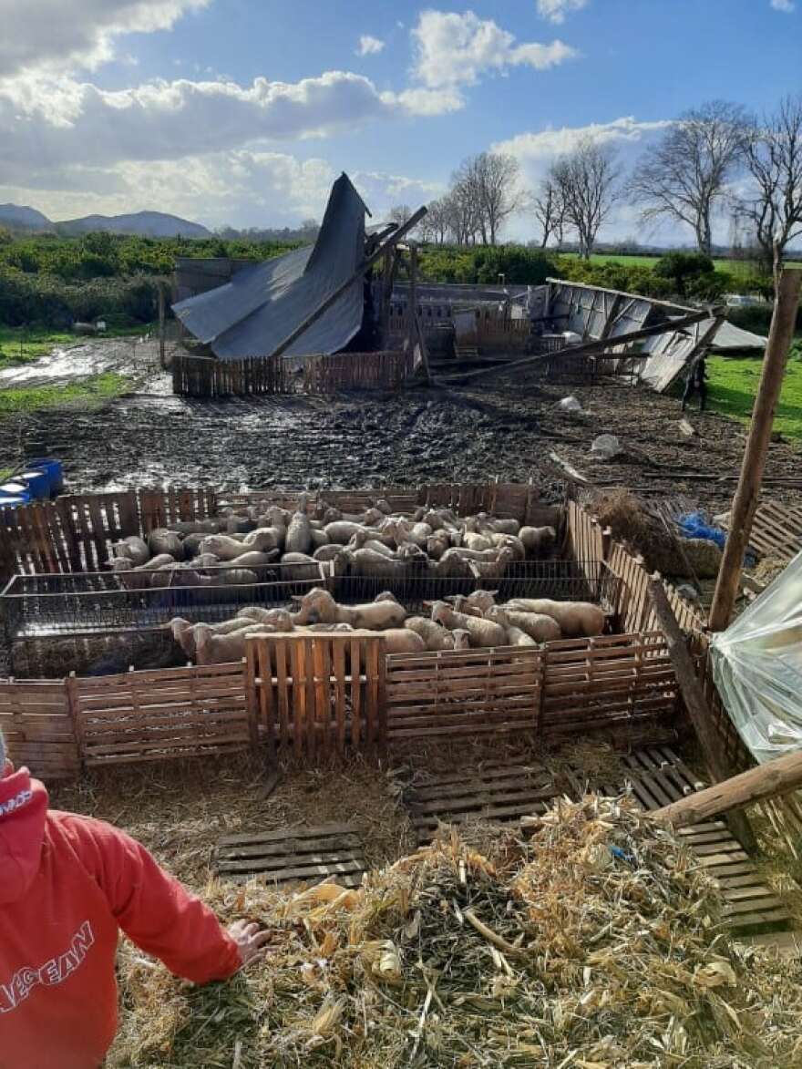Κακοκαιρία: Ζημιές 30.000 ευρώ από ανεμοστρόβιλο σε κτηνοτροφική μονάδα στο Νεοχώρι Μεσολογγίου