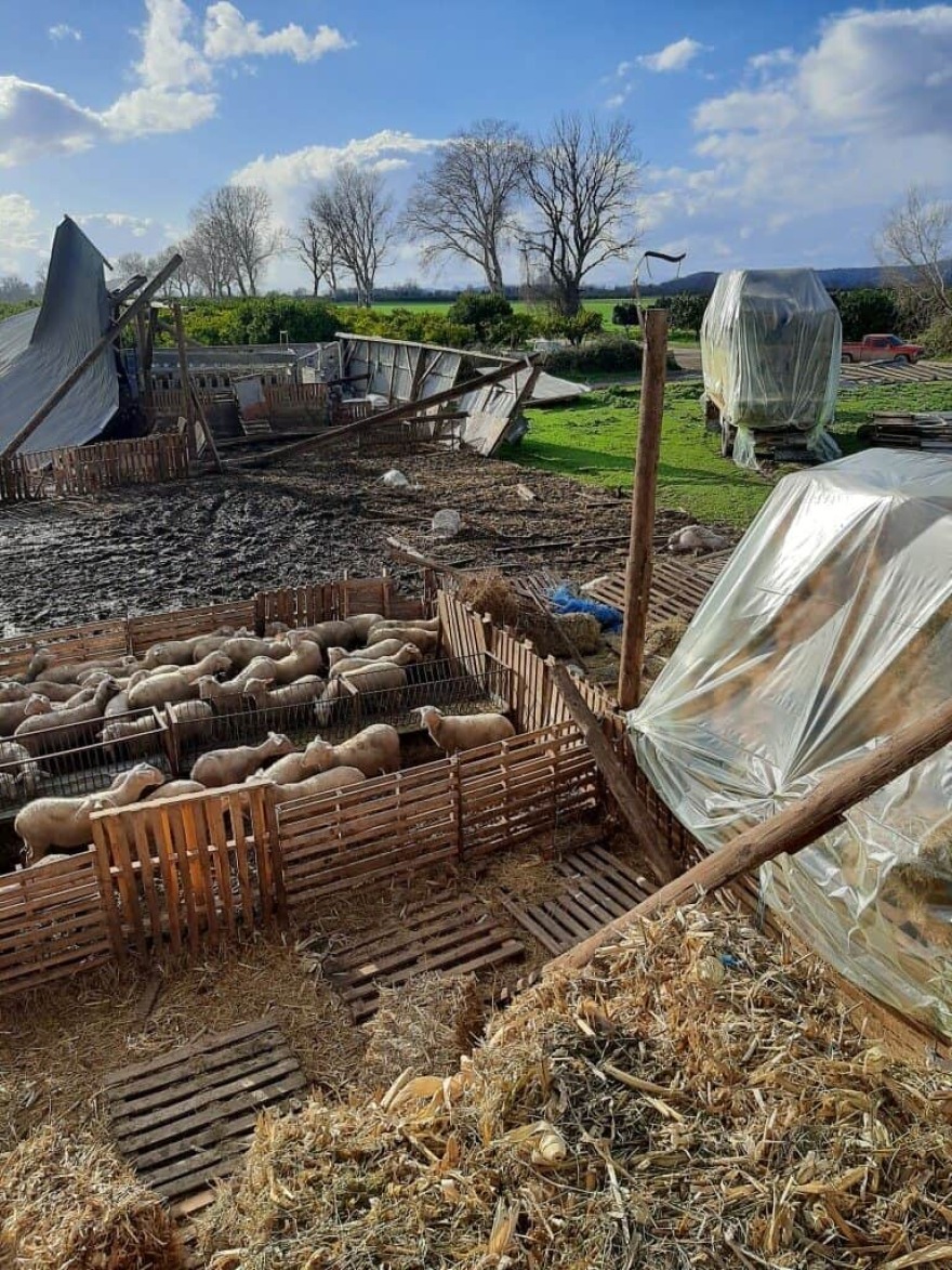 Κακοκαιρία: Ζημιές 30.000 ευρώ από ανεμοστρόβιλο σε κτηνοτροφική μονάδα στο Νεοχώρι Μεσολογγίου