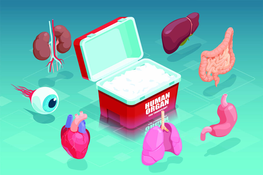 Ανεκτίμητη προσφορά για το κοινωνικό σύνολο η δωρεά ιστών και οργάνων