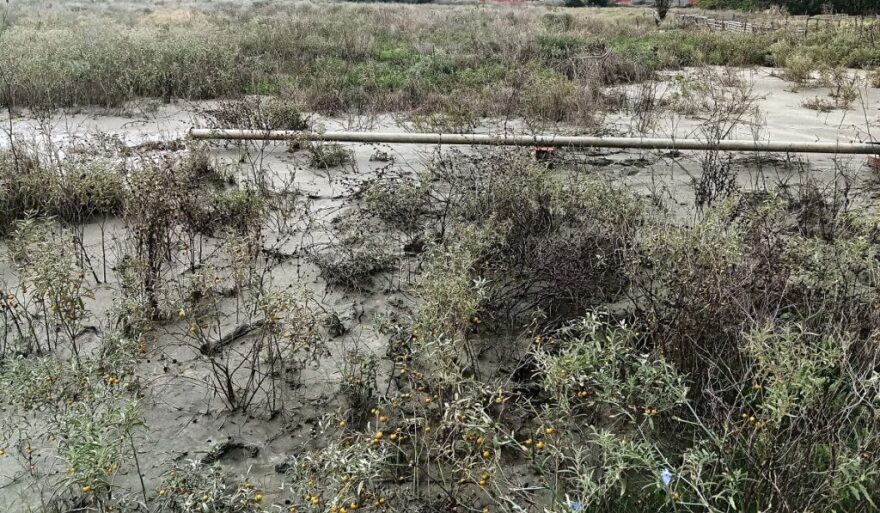 Θεσσαλονίκη: Επιχείρηση καθαρισμού βόθρων άδειαζε απόβλητα σε χωράφια