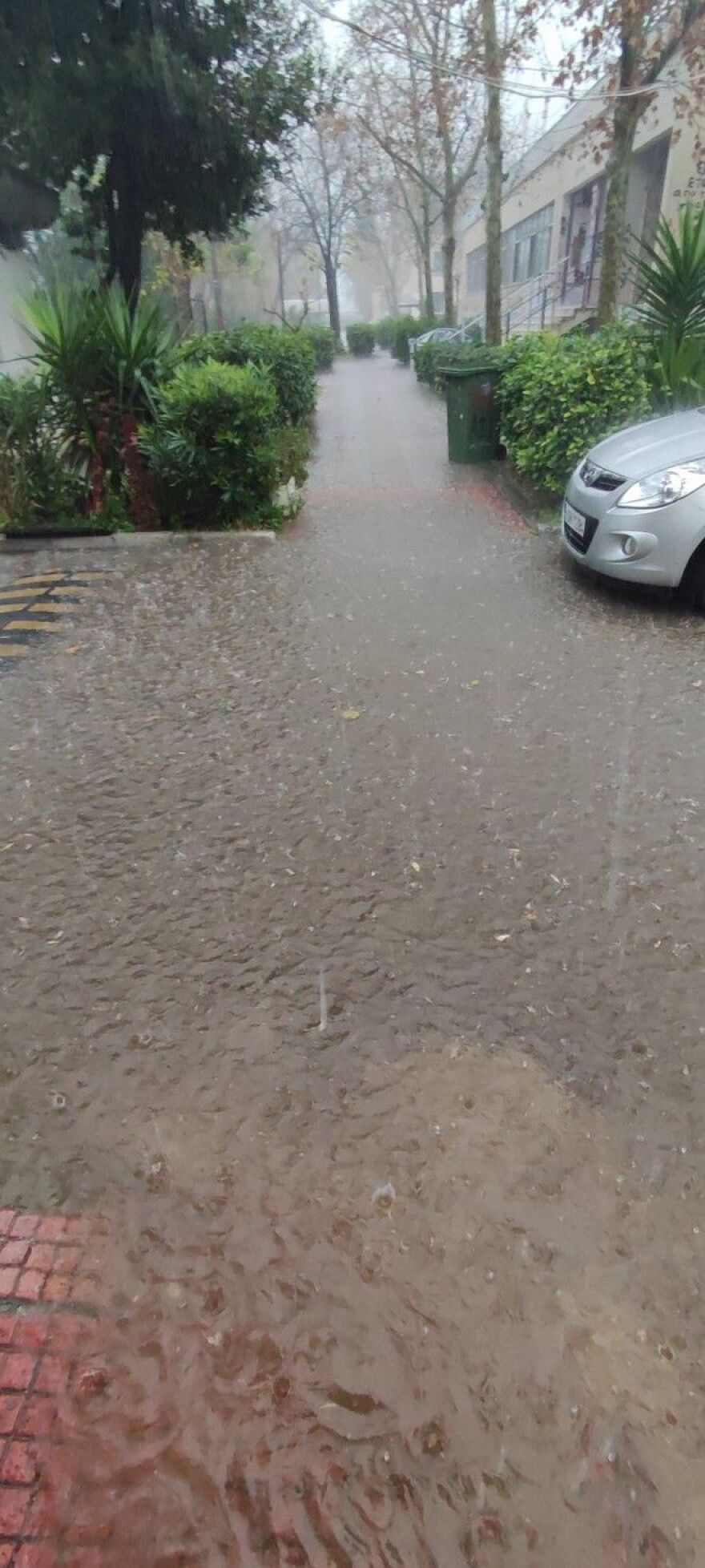 ΕΜΠ: Η κακοκαιρία «χτύπησε» το Πολυτεχνείο - Φοιτητές έδωσαν εξετάσεις με φακούς-Τι λέει ο πρύτανης