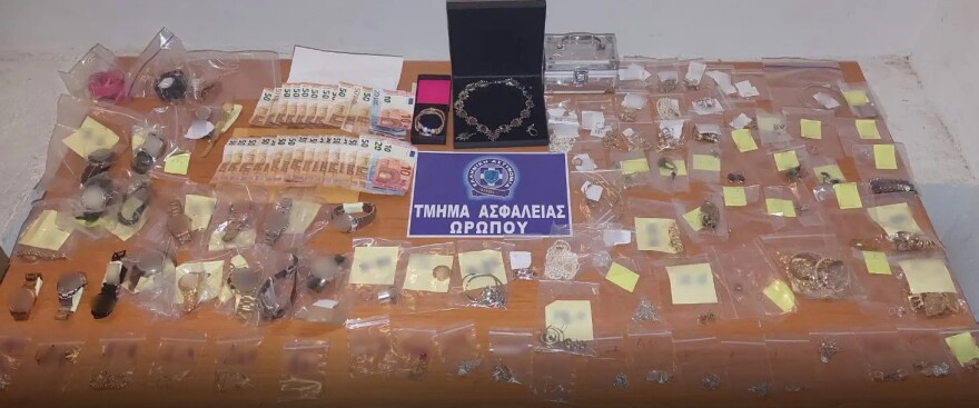 Ωρωπός: Η στιγμή της επιχείρησης της ΟΠΚΕ στο σπίτι του αρχηγού της σπείρας που ρήμαζε σπίτια