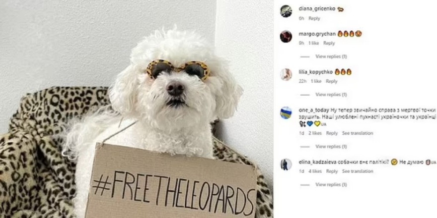Ουκρανία: Ουκρανοί και Ουκρανές φορούν ρούχα λεοπάρ για να γιορτάσουν την αποστολή Leopard από τη Γερμανία