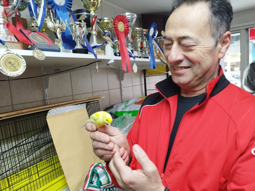 Καναρίνια από τη Θεσσαλονίκη «σάρωσαν» με το κελάηδημά τους σε παγκόσμιο διαγωνισμό