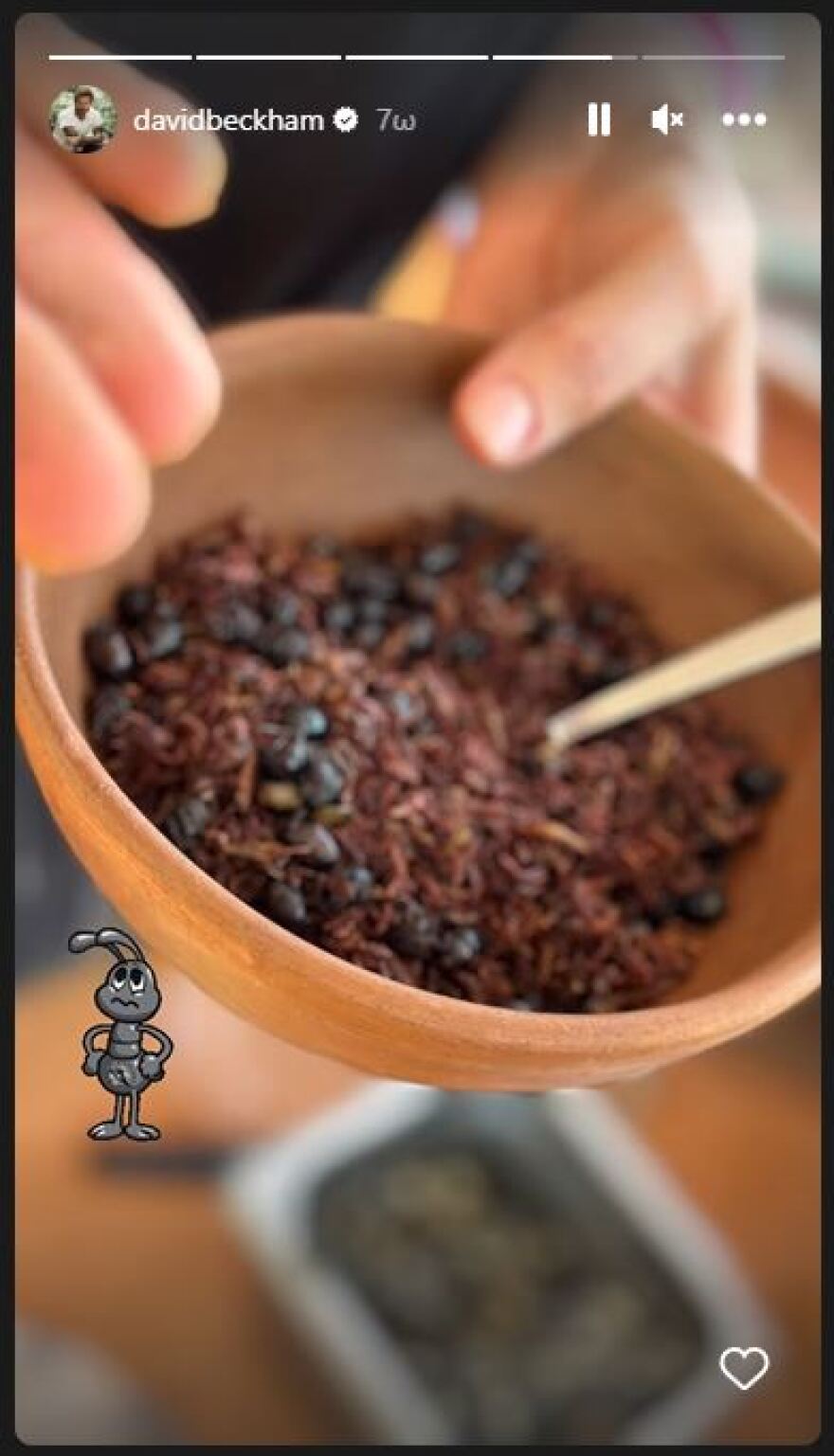 O Ντέιβιντ Μπέκαμ έφαγε έντομα στο Μεξικό - Φωτογραφίες