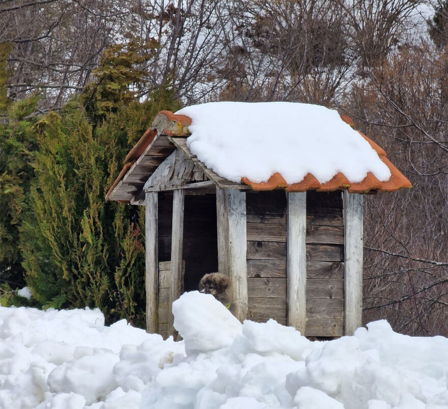 Πτώση Phantom F-4: «Πάντα πετούσε χαμηλά πάνω από το Νευροκόπι και τον χαιρετούσαμε» λένε για τον 31χρονο σμηναγό