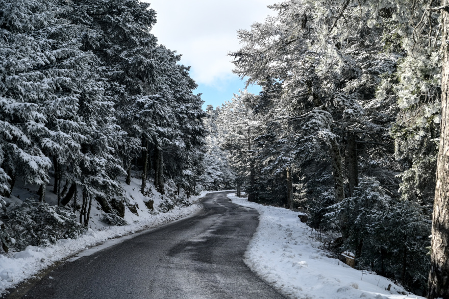 Κακοκαιρία: Τα πρώτα χιόνια στην Πάρνηθα - Δείτε φωτογραφίες 
