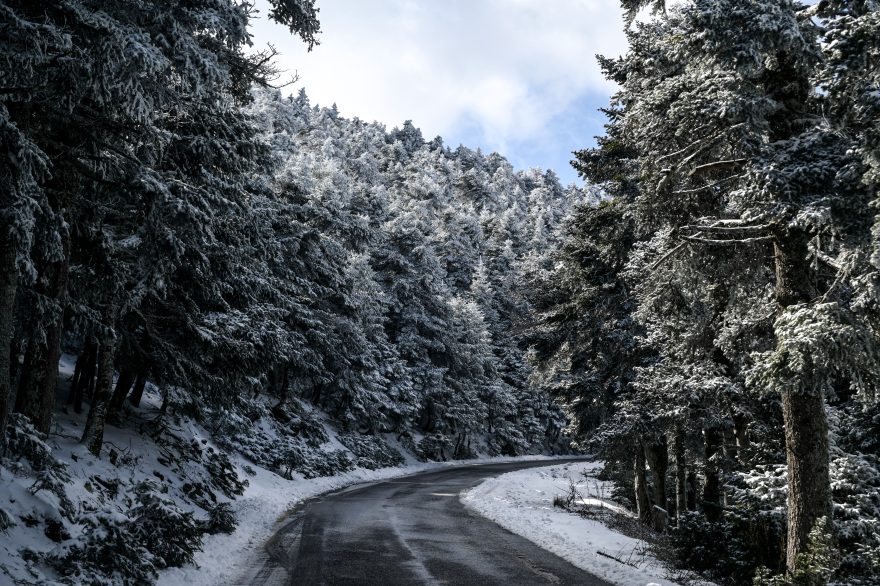 Κακοκαιρία: Τα πρώτα χιόνια στην Πάρνηθα - Δείτε φωτογραφίες 