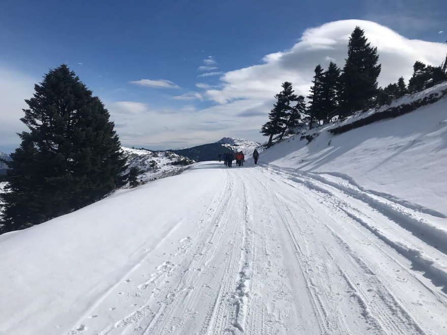Κακοκαιρία Μπάρμπαρα: Έμπειροι περπατητές οι 40 εγκλωβισμένοι στη Δίρφη Ευβοίας, τι λέει ο δήμαρχος στο protothema.gr