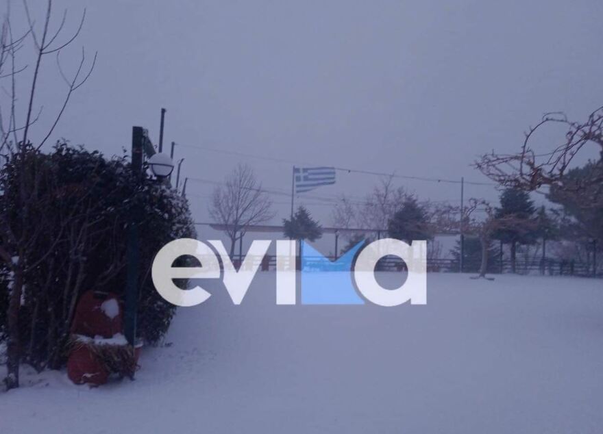 Η κακοκαιρία «Μπάρμπαρα» έφτασε με άγριες διαθέσεις στην Εύβοια - Χιονίζει αδιάκοπα από το πρωί