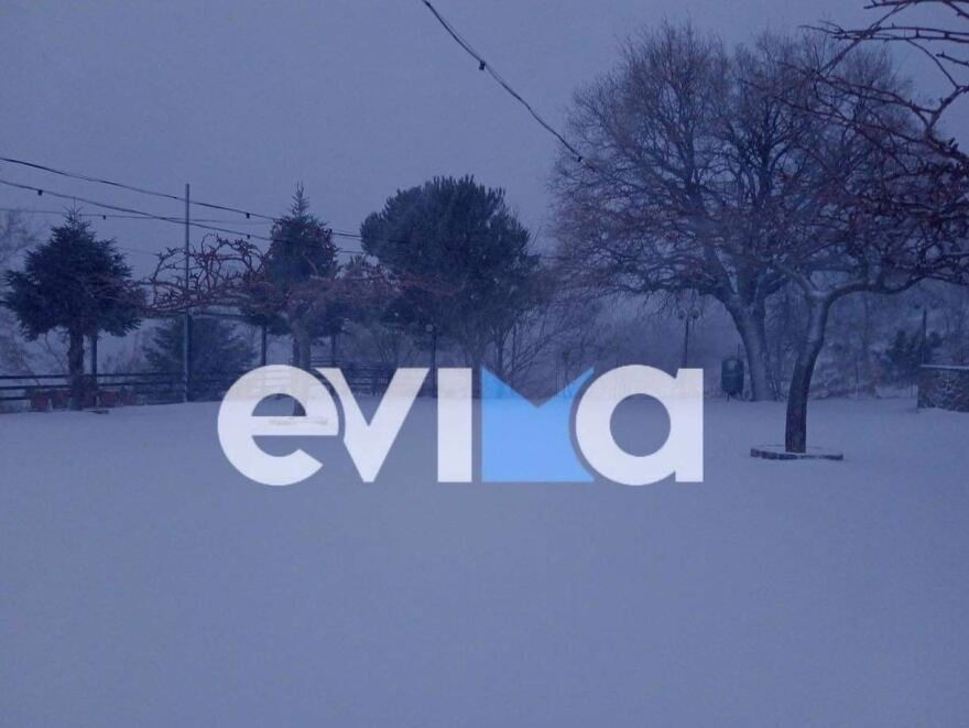 Η κακοκαιρία «Μπάρμπαρα» έφτασε με άγριες διαθέσεις στην Εύβοια - Χιονίζει αδιάκοπα από το πρωί