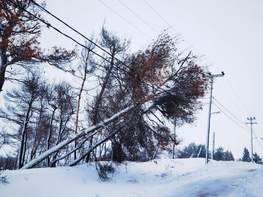 Κακοκαιρία «Μπάρμπαρα»: Συνεργεία του ΔΕΔΔΗΕ αποκατέστησαν όλες τις βλάβες στην Αττική 