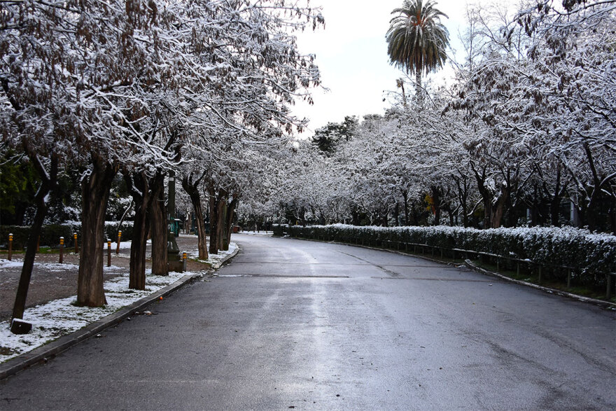 Κακοκαιρία «Μπάρμπαρα»: Παραμυθένιες εικόνες από το κέντρο της Αθήνας - Στα λευκά και το Ζάππειο