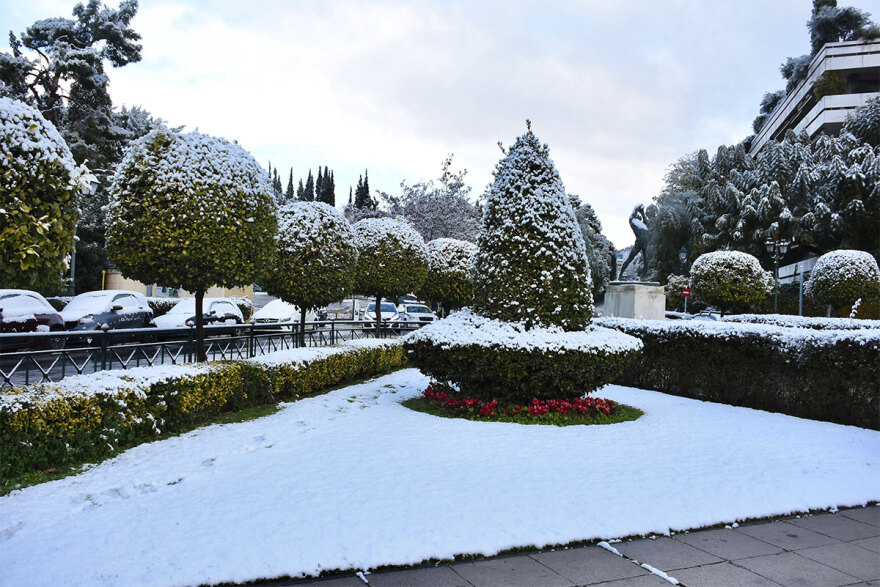 Κακοκαιρία «Μπάρμπαρα»: Παραμυθένιες εικόνες από το κέντρο της Αθήνας - Στα λευκά και το Ζάππειο