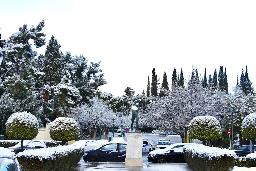 Κακοκαιρία «Μπάρμπαρα»: Παραμυθένιες εικόνες από το κέντρο της Αθήνας - Στα λευκά και το Ζάππειο