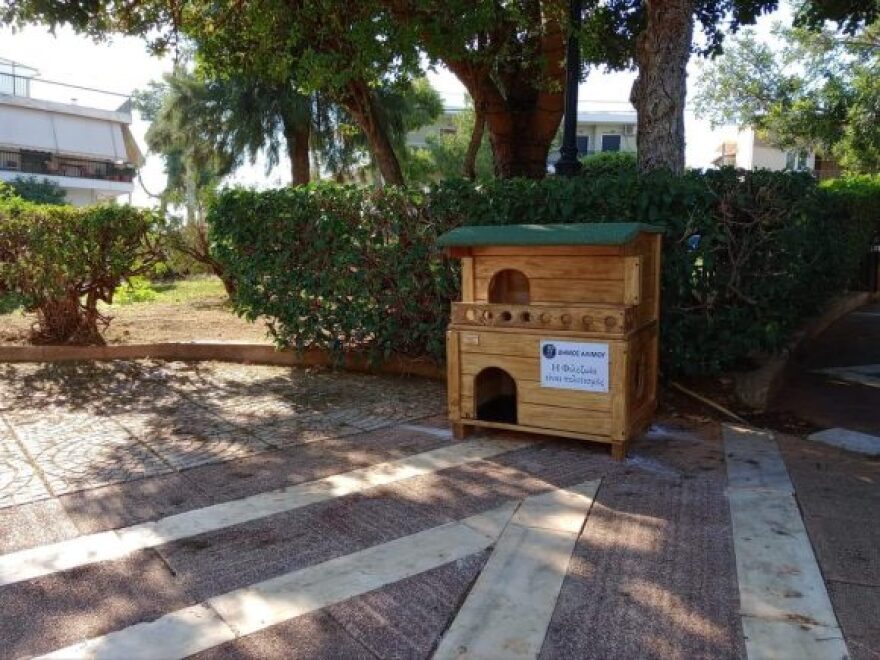 Άλιμος: Σε διώροφες... μεζονέτες μένουν οι αδέσποτες γάτες - Δείτε φωτογραφίες