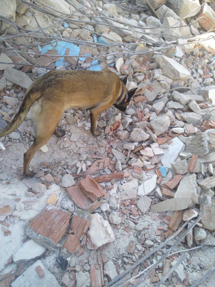 Σεισμός στην Τουρκία - Έλληνας εθελοντής: Εντοπίσαμε νεκρή μία οικογένεια με επτά μέλη, λιγοστεύουν οι ελπίδες για επιζώντες