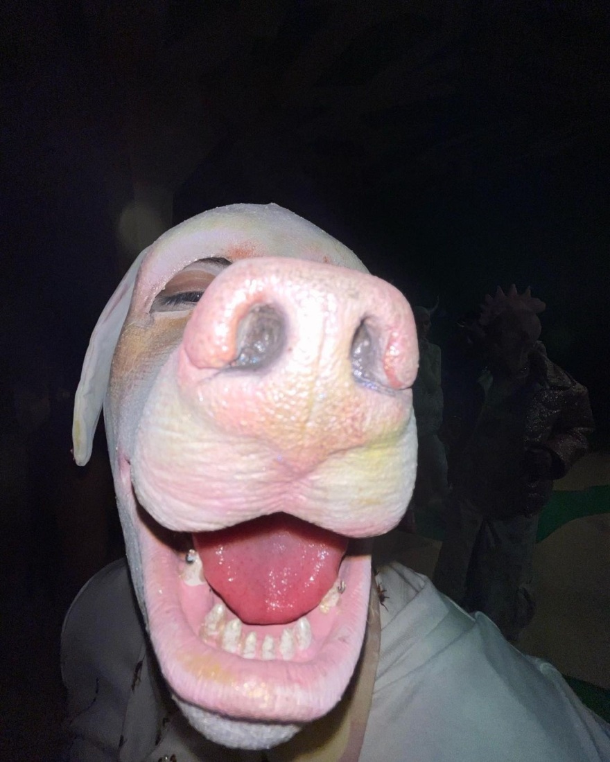 Διχάζει οίκος μόδας που ανέβασε στην πασαρέλα μοντέλα με πρόσωπα ζώων